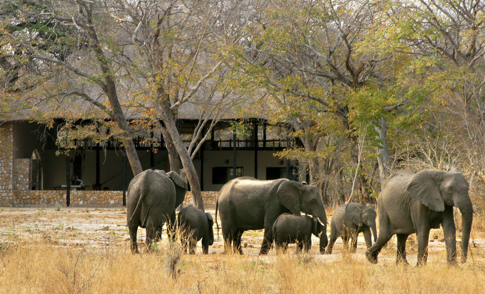 Gwango Heritage Resort Dete Exterior photo