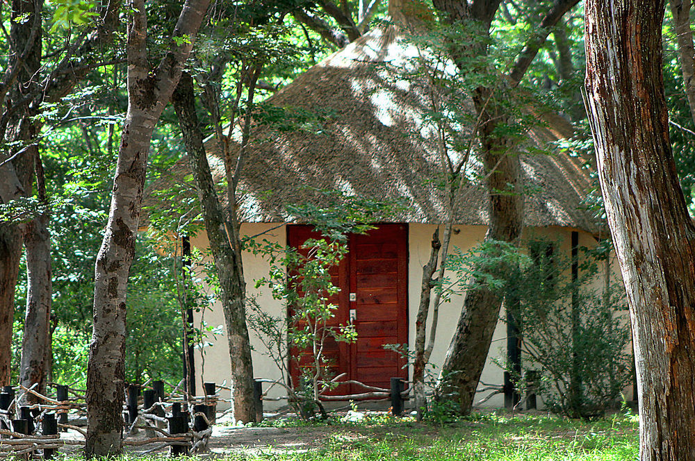 Gwango Heritage Resort Dete Exterior photo